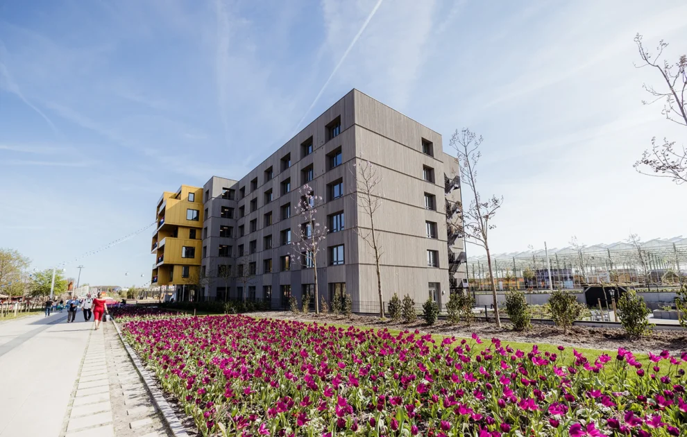 Lizetbeek nl 19042022 85